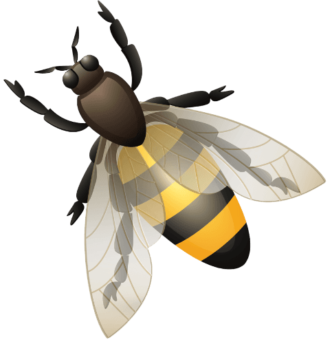 Moving Bee 3
